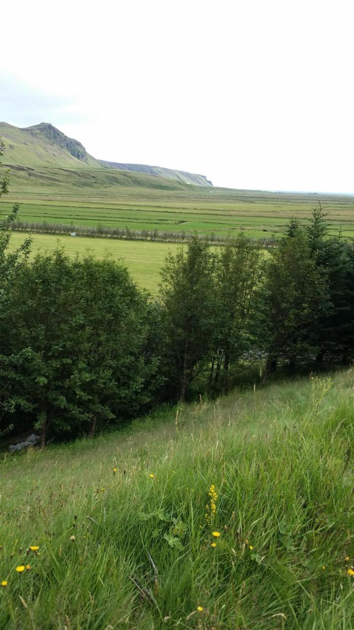 Giljur Guesthouse Vik i Myrdal ภายนอก รูปภาพ